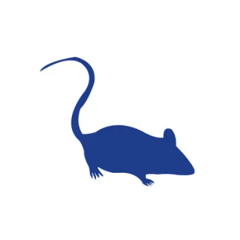 mouse icon