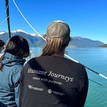 The back of a person wearing a black shirt looking off at a large body of water and snow-peaked mountain range.