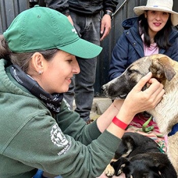 A woman in green hat and jacket holds a dog's face in her hands and looks at the dog happily.
