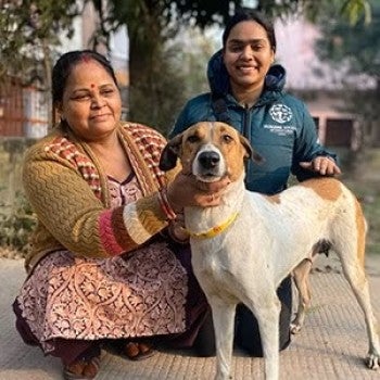 Kawi, the 50,000th dog to be sterilized in Lucknow, India