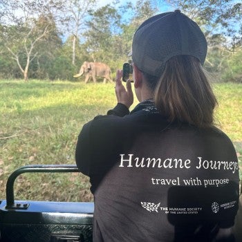 A safari in the serene Nagarahole Tiger Reserve