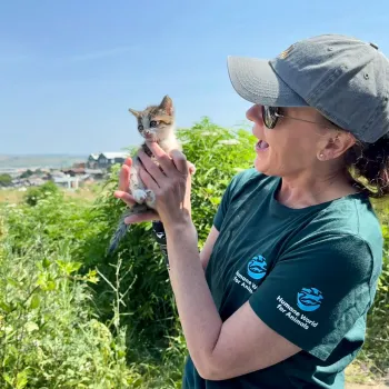 A person in a green tshirt and baseball cap happily holds a kitten in front of a green plants