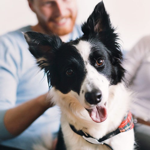 man and woman on the couch with their dog