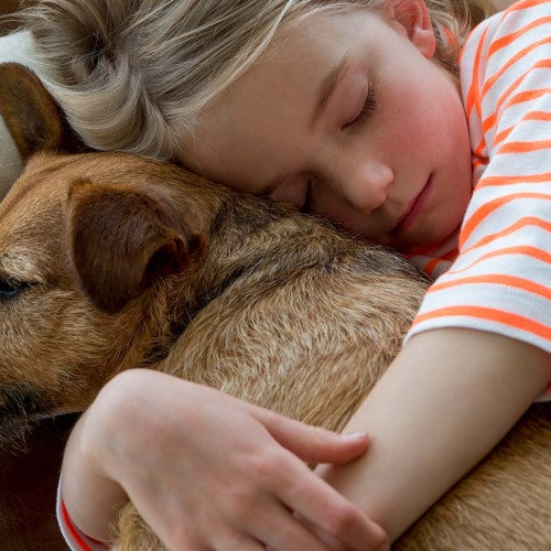 Pet adoption is the snuggliest option.