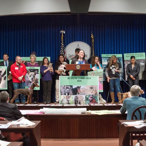 Pennsylvania Humane Lobby Day