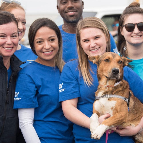 Humane Society of the United States staff at a rescue transport