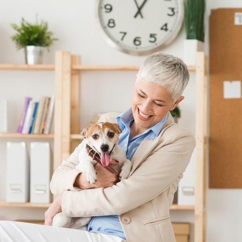 Woman and her dog in the workplace