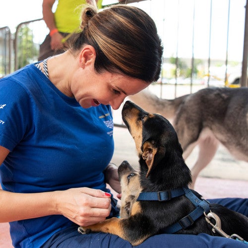 HSUS staff cuddling dogs at Spayathon event
