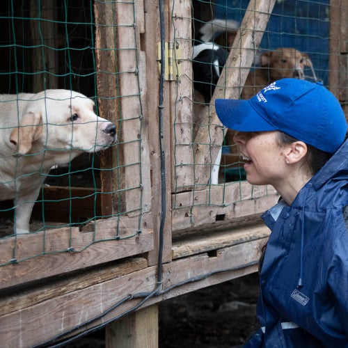 HSUS staff with a dog being rescued from a large-scale alleged severe neglect case in Florida
