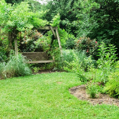 humane backyard with a bench and birdbath