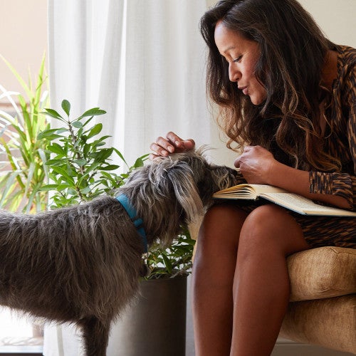 A shy dog approaches a woman who comforts him