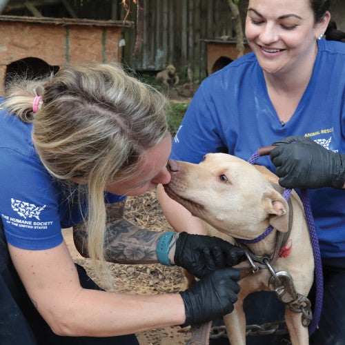 HSUS animal rescue services in action