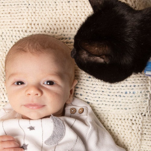 Happy baby laying on a blanket with curious cat sniffing his hair