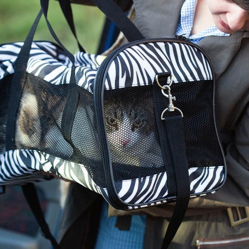 Pet cat in travel carrier going into a car