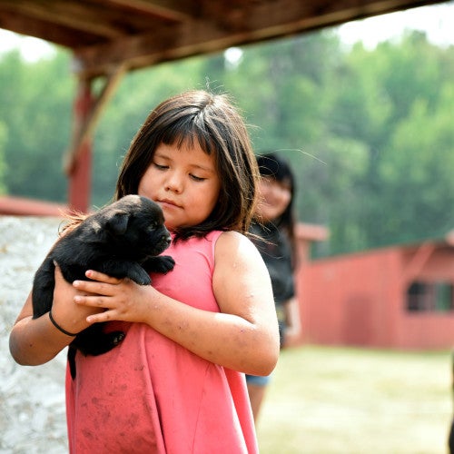 Girl holds a puppy at a Pets for Life event where we provided veterinary care for dozens of families