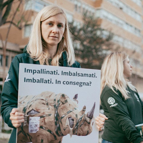 Taking action for animals