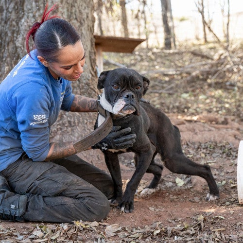 Animal Rescue Team in Oklahoma