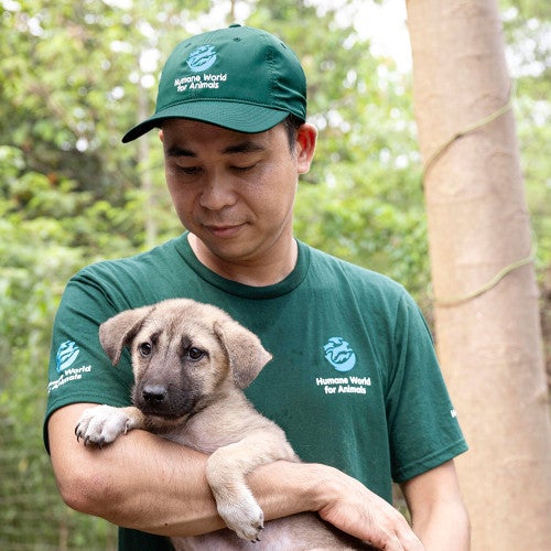 Humane World for Animals staff holding puppy