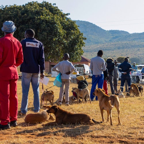 HALO Outreach in GaMoraba, Limpopo Province, South Africa
