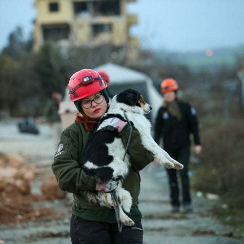 Rescuing animals after an earthquake in Turkiye