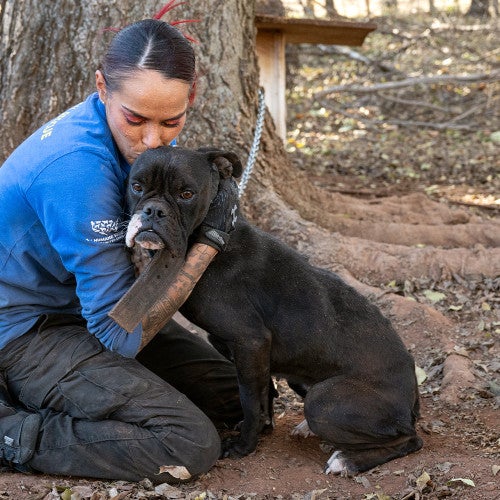 A woman in a blue shirt comforts a black dog outdoors