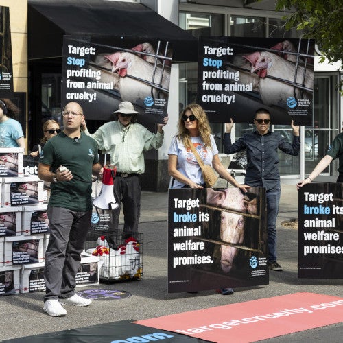 Farm animal confinement Target protest in Minneapolis
