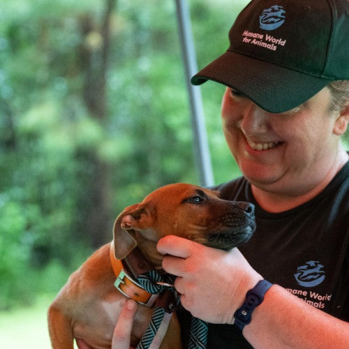 a person holding a young dog in their arms