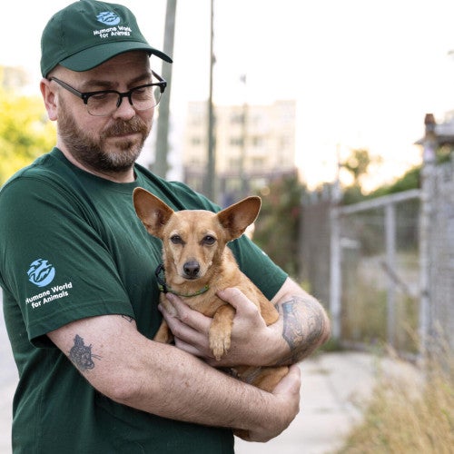 Staff interact with dogs in Asheville NC