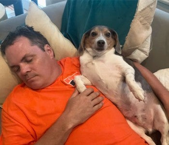 Beagle dog and man laying on couch, snuggling. 