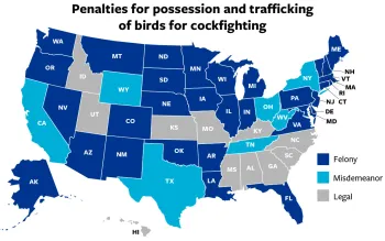 US map showing in which states cockfighting is legal, considered a misdemeanor or a felony.