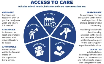 Graphic showing the 5 components to Access to Care: Available, Attainable, Appropriate, Affordable, and Accepted.