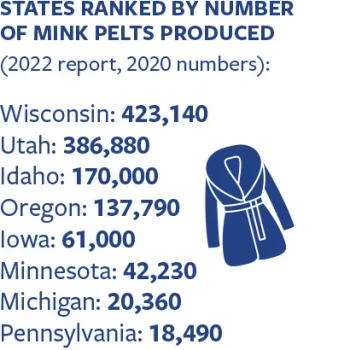 Chart showing states ranked by number of mink pelts produced.