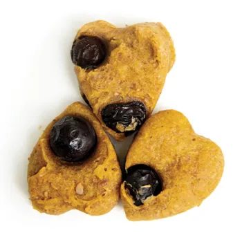Heart-shaped dog treats