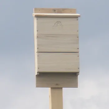A homemade bat box is nailed to a post
