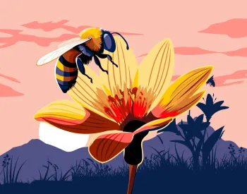Illustration of a bee on a flower.