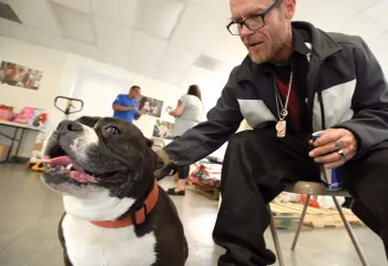 Billy and Copperhead