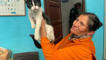 Woman holding a cat