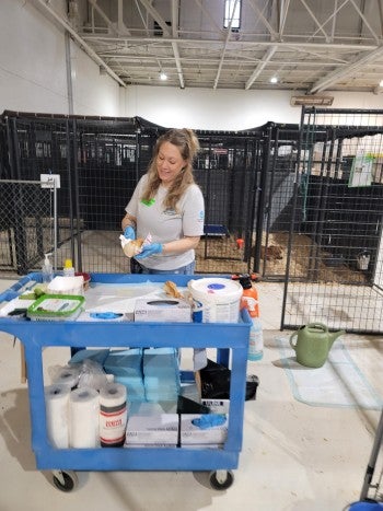 ART volunteers