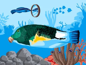 Illustration of an underwater scene showing fish and coral.
