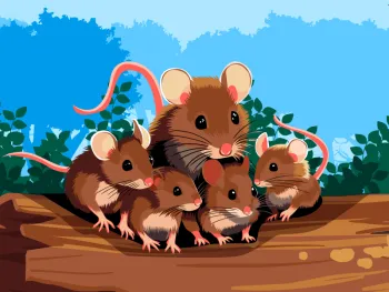 Illustration of a family of mice sitting on a fallen log in the forest.