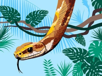 Illustration of a yellow snake in the jungle.