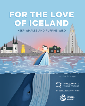 For the Love of Iceland campaign