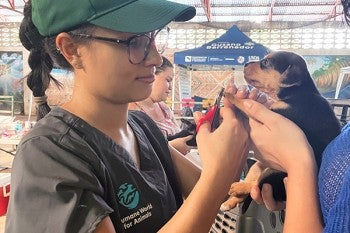 A woman giving a vaccine to a dog