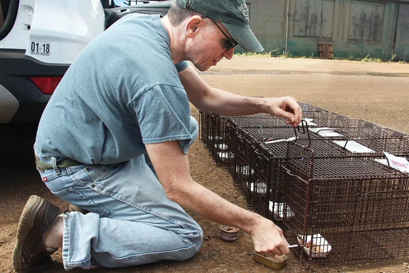 Neighborhood Cats’ Bryan Kortis putting food in cages.