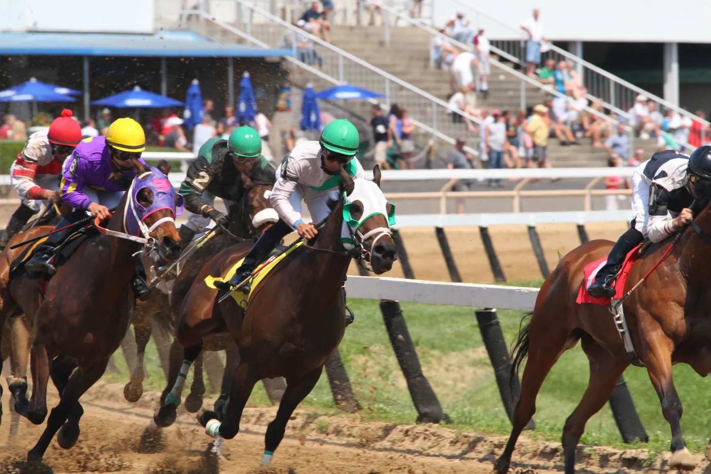 Horse racing