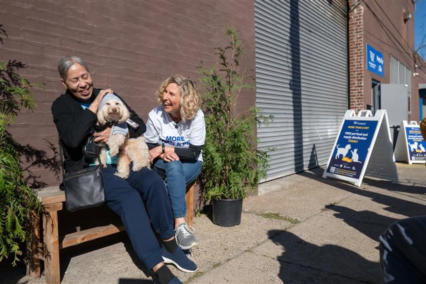 Two people laughing with small dog