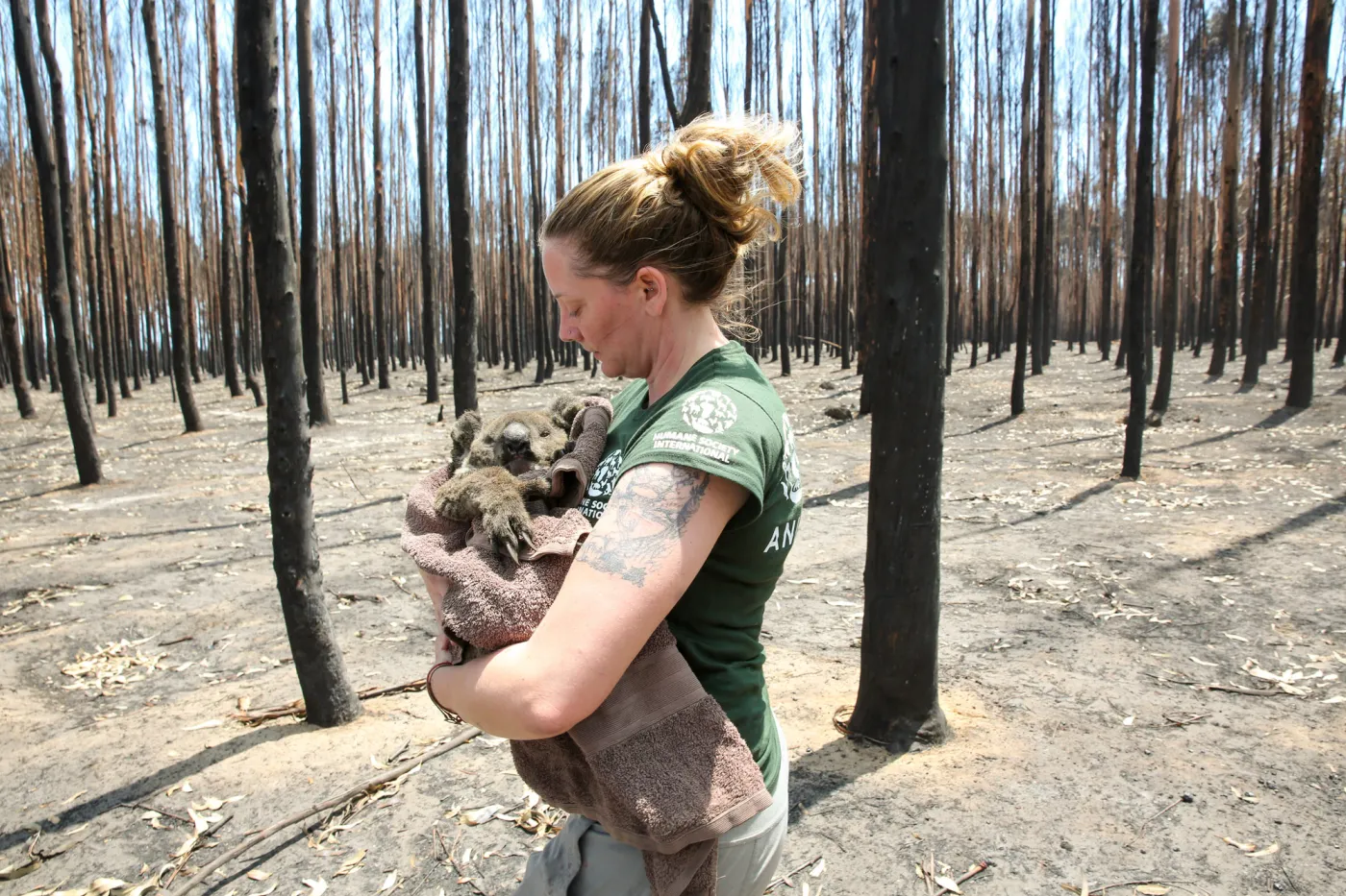 Australia Wildfires Response