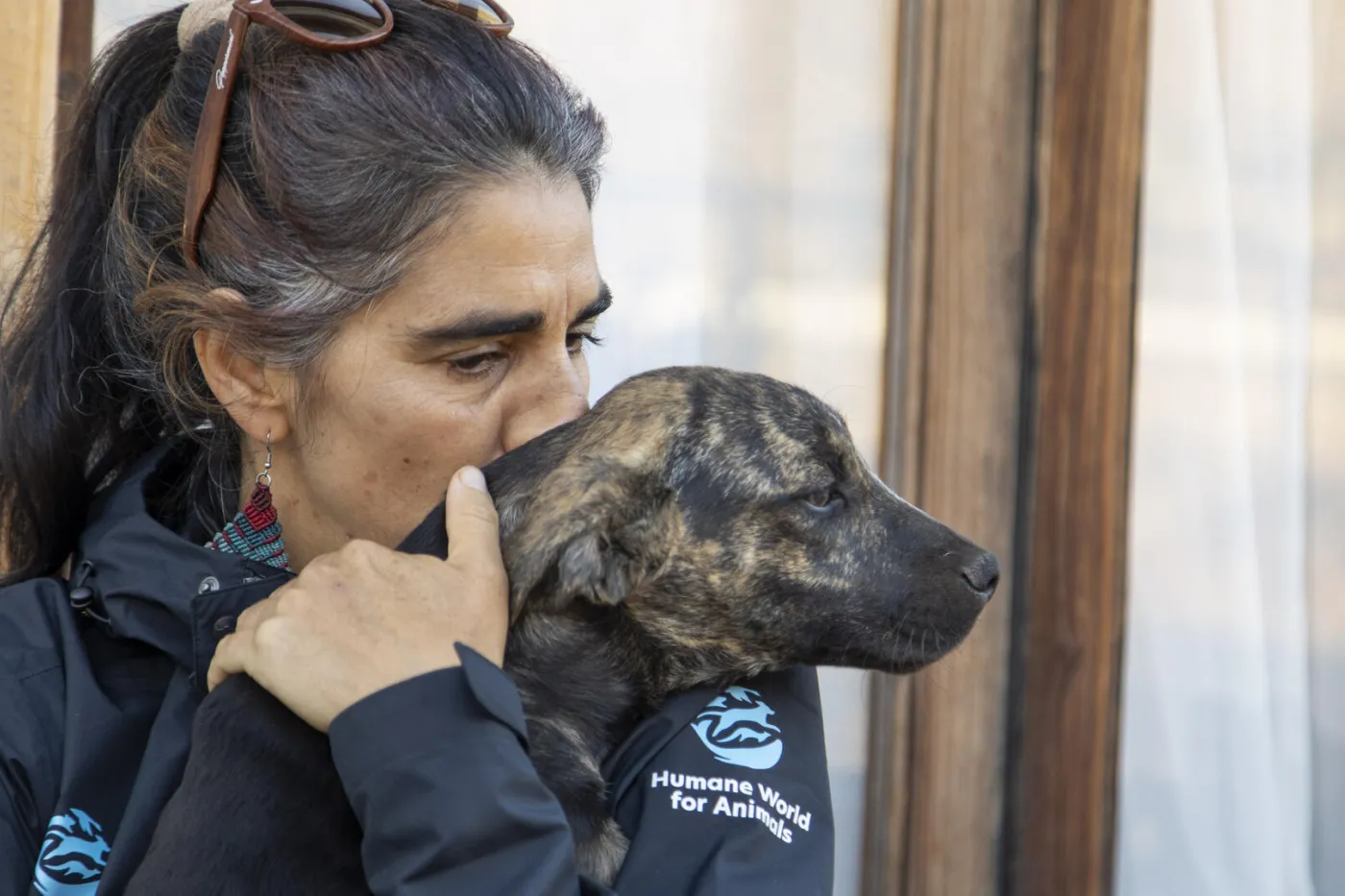 Companion animal field clinic northern Chile