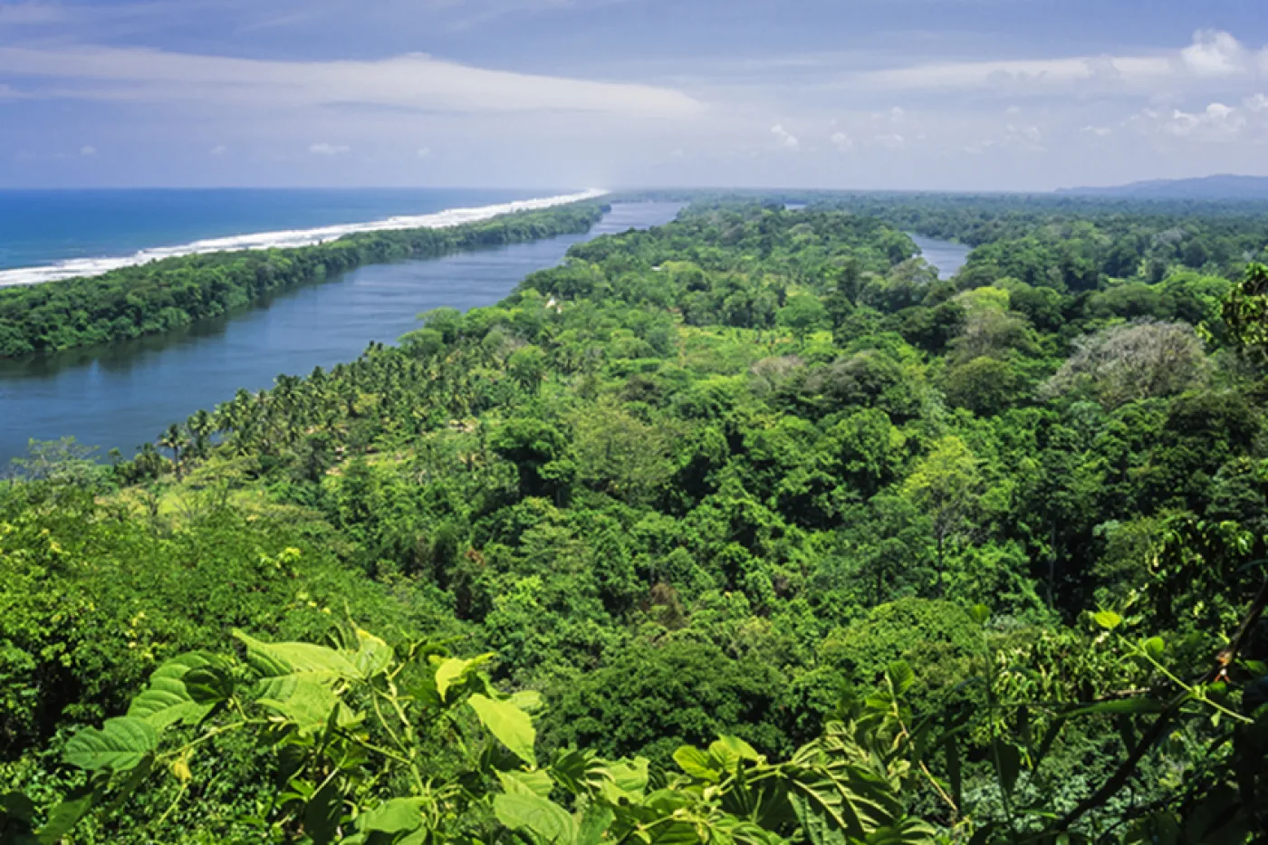 Tortuguero National Park aerial view 