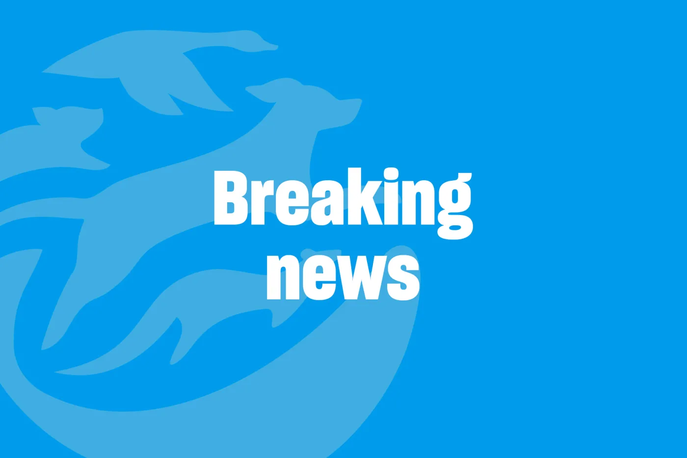 Breaking news